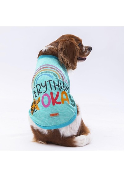 Pawstar Mint Everything Kedi Köpek Sweati Kıyafeti