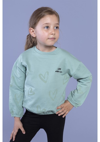 Toontoy Kız Çocuk Nakışlı Büzgü Detaylı Sweatshirt Yeşil Toontoy Kız Çocuk Nakışlı Büzgü Detaylı Sweatshirt Yeşil
