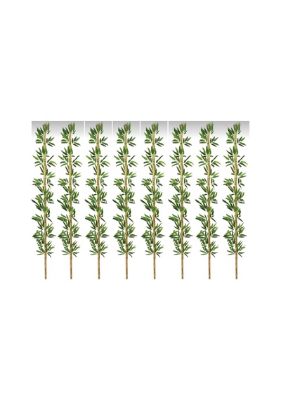 Rüzgar Yapay Çiçekçilik 220 Cm 8 Adet Bambu Yeşil