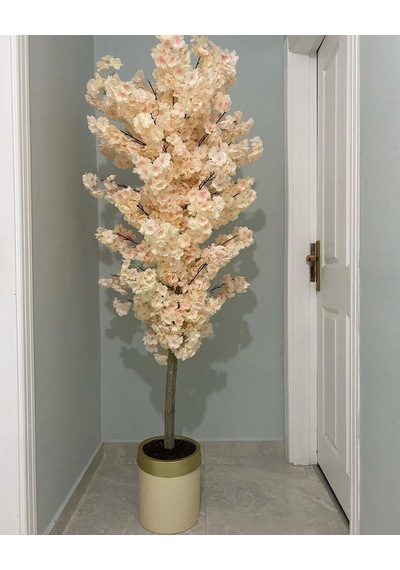 Rüzgar Yapay Çiçekçilik 180 Cm Lüx Bahardalı Ağacı Krem