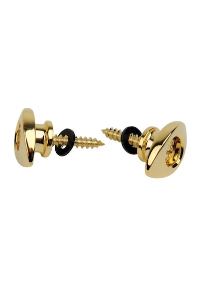Planet Waves Pweep302 Elliptical End Pins Gold Askı Pin