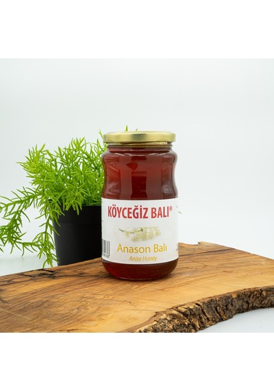 Köyceğiz Balı Anason Balı Cam Kavanoz 450 G