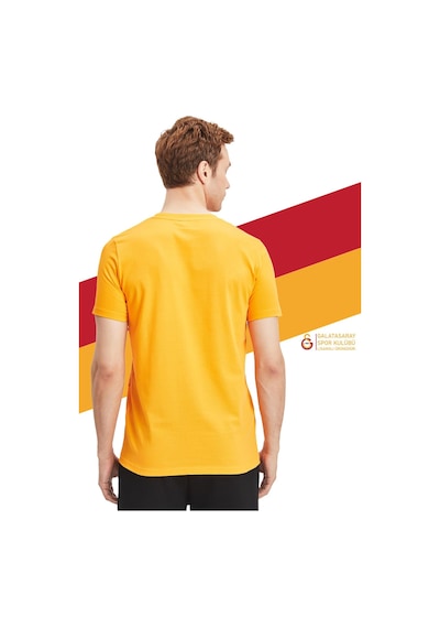 Gsstore Galatasaray Orijinal Lisanslı Aslan Baskılı Sarı T-shirt Gs Aslan Baskılı Hediyelik Ahşap Kutulu Sarı Gsstore Galatasaray Orijinal Lisanslı Aslan Baskılı Sarı T-shirt Gs Aslan Baskılı Hediyelik Ahşap Kutulu Sarı