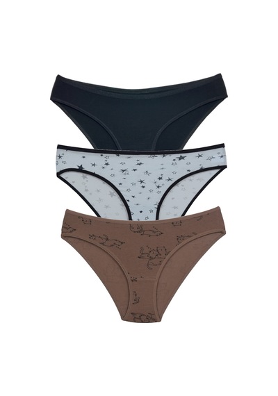 Asist Secret Magic Asm1106 Kadın 3 Lü Renkli Karışık Pamuklu Bikini Külot Renklı
