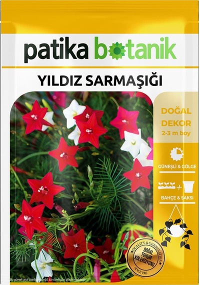 5 Adet Yıldız Sarmaşığı Çiçek Tohumu