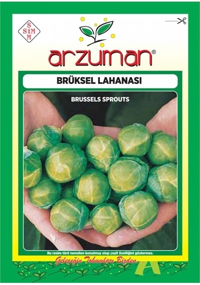Brüksel Lahana Tohumu 200 Adet
