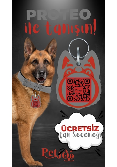 Petjoo 24.Proteo Kırmızı-Gri Qr'lı Köpek Künyesi
