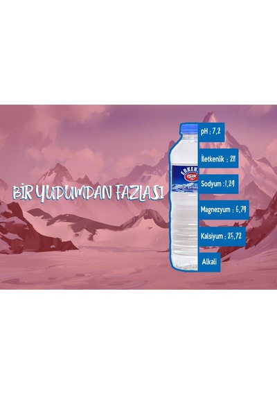 Erkenek Işık Su Doğal Kaynak Suyu 12 Li Ph 7.2
