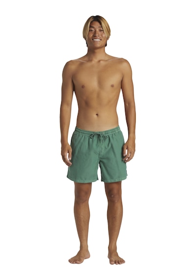 Quiksilver Everyday Surfwash Volley 15 Renklı