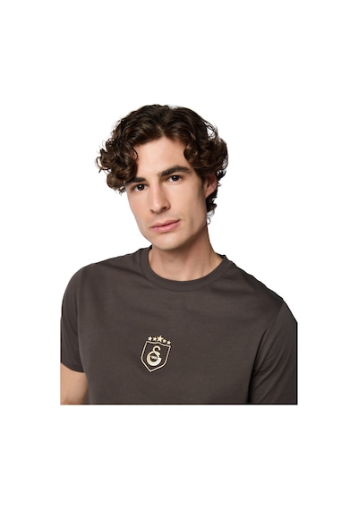 Gsstore Galatasaray 5 Yıldız T-shirt E251393 Antrasit