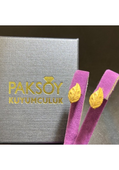 22 Ayar Altın Küpe Başak Model 3.02gr Kadın Özel Tasarım - K01020