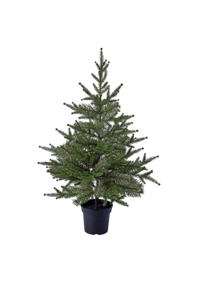 Ikea Vinterfint Yapay Bitki 15 Cm Yeşil