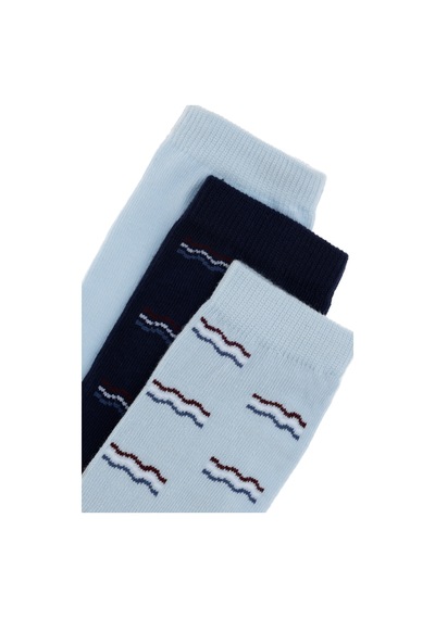 U.S. Polo Assn. Erkek Çocuk 3'lü Soket Çorap 50299299-VR003
