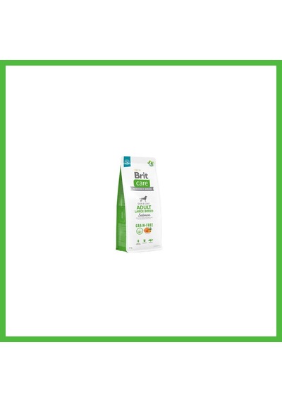 Vaveni Skin Coat Adult Large Breed Somonlu Büyük Irk Tahılsız Yetişkin Köpek Maması 12 Kg Arz