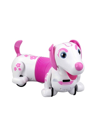 Sıl 88740 Robo Dash D Asorti