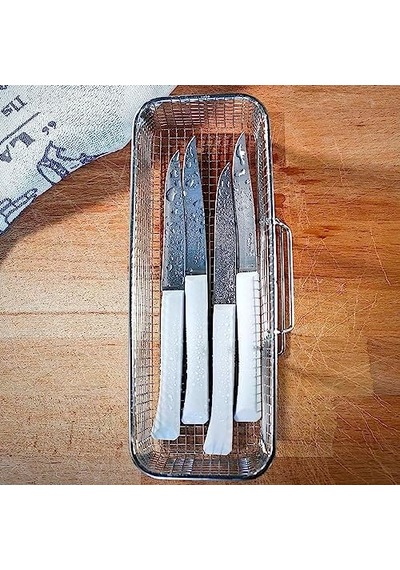 Opinel Bon Appetit 4 Parça Paslanmaz Sofra Bıçağı Açık Ceviz Opinel Bon Appetit 4 Parça Paslanmaz Sofra Bıçağı Açık Ceviz