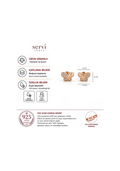 Servi 925 Ayar Gümüş Minimal Zirkon Taşlı Rose Kelebek Küpe-493 Gümüş - Pembe