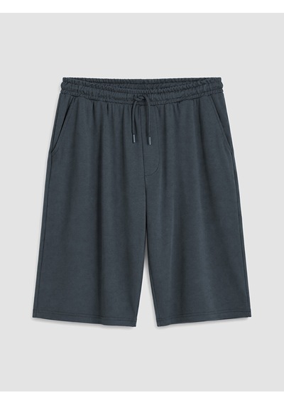 Lc Waikiki Lc Waıkıkı Gri Regular Fit Erkek Şort