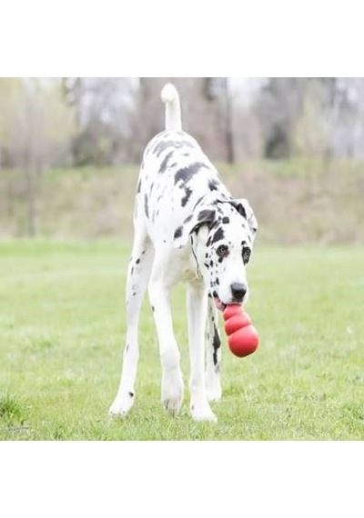 Kong Classic Xx-large Ödül Konulabilen Köpek Oyuncağı Xxl
