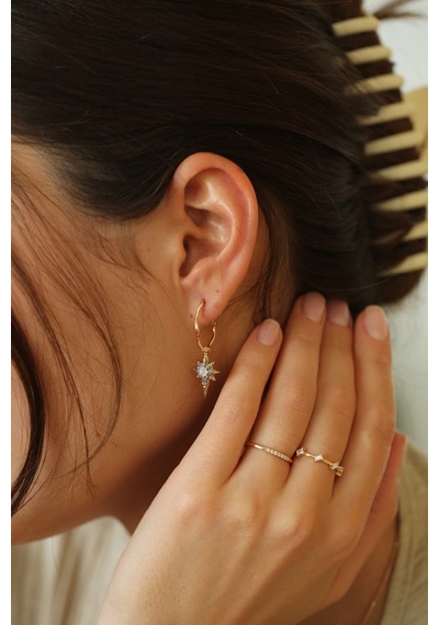 Reis Kuyumculuk T2049 North  Earring