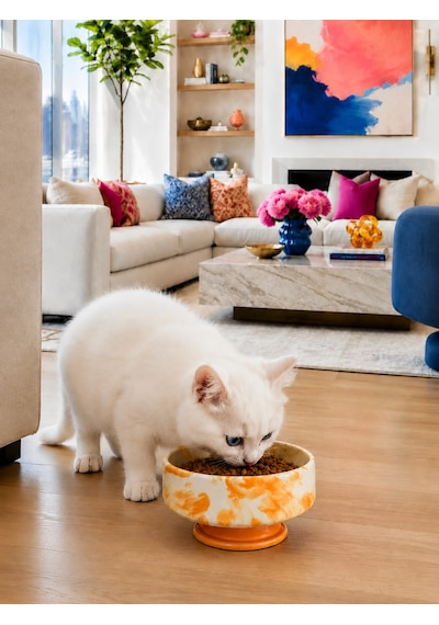 Mama Kabı Kedi Ve Köpek 1 Adet Doğal Mama Veya Su Kabı Soft Sarı Marble