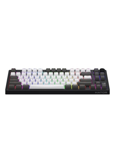 Skyfall Pro Wireless Grey-black %80 Aurum Vanilla Silent Sw Rgb Kablosuz Klavye Htk4180