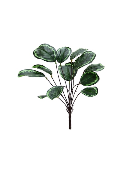 Yapay Calethea Demeti 30 Cm-9886