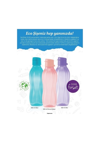 Eco Şişe Suluk Kolay Kapak 500 Ml 3 Lü Mavi Mor Pembe
