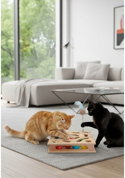 Ahşap Kare Kedi Oyuncağı - 30cm X 30cm - Çıngıraklı Toplu - Yaylı Top Eklenmiştir