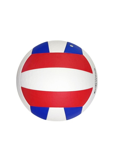 Avessa Black-crown Yapıştırma Voleybol Topu Çok Renkli