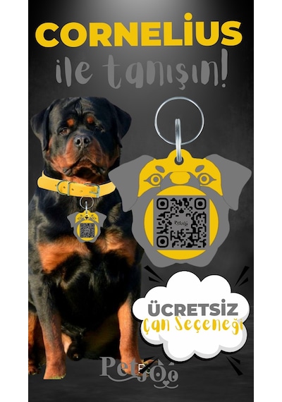 Petjoo 20.Cornelius Gri-Sarı Qr'lı Köpek Künyesi
