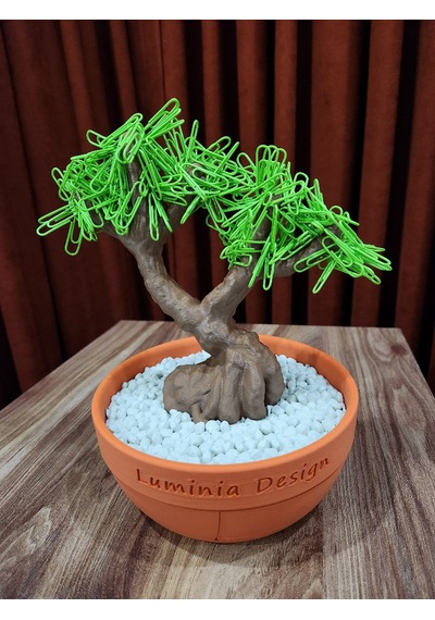 Bonsai Ağacı Organizer