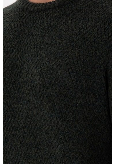 U.S. Polo Assn. Erkek Regular Fit Bisiklet Yaka Koyu Yeşil Kazak 50297049-VR079