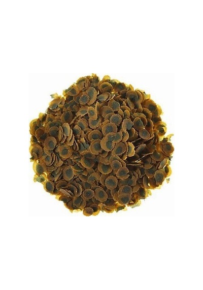 Pro Algae 500 Gram Bitkisel Balık Yemi