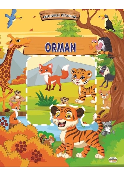 Pencereli Kitaplar Orman