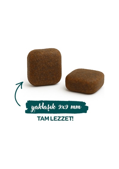 Sanabelle Outdoor Ördek Etli Yetişkin Kuru Kedi Maması 8 KG