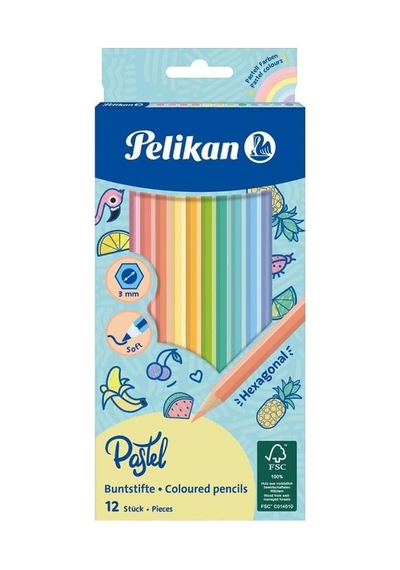 12 Li Pastel Renk Kuru Boya Kalemi Karton Kutu 1 Paket 12 Renk Kuruboya Tam Boy Renkli Kalem Diğer