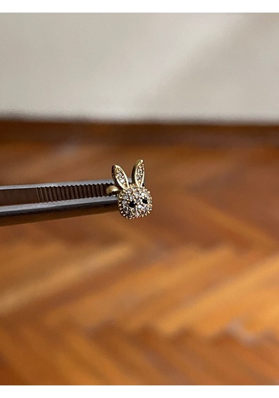316 L Cerrahi Çelik Dudak Piercing Kıkırdak Helix Tragus Conch Zirkon Taşlı Figürlü Piercing Koyu Mavi