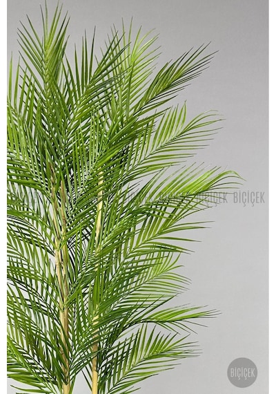 Biçiçek Yapay Areka Palmi̇yesi̇ 150 Cm 33 Yaprak Antresi̇t Kumsal Saksıda
