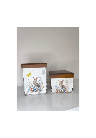 Bebek Çocuk Odası Dekorasyonu 2 Li Ahşap Kutu Düzenleyici - 713191084