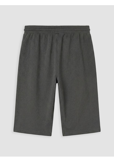 Lcwaıkıkı Classic Antrasit Regular Fit Erkek Şort
