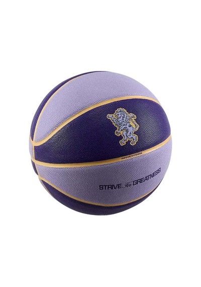 All Court 2.0 8p L. James Unisex Mor Basketbol Topu N.100.4368.509.07 1658096