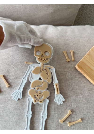 Montessori Eğitici İnsan Vücudu Yapbozu