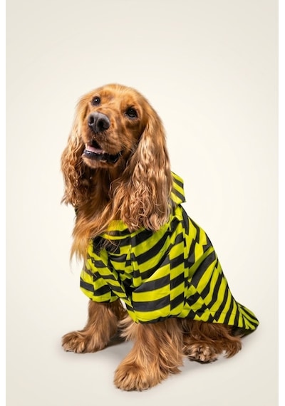 Köpek Yağmurluk, Su İtici Özellikli, Sırt Ve Boyun Tasması Uyumlu, Çıt Çıtlı, İki Kademeli Ayarlanabilir Çok Renkli Köpek Yağmurluk, Su İtici Özellikli, Sırt Ve Boyun Tasması Uyumlu, Çıt Çıtlı, İki Kademeli Ayarlanabilir Çok Renkli