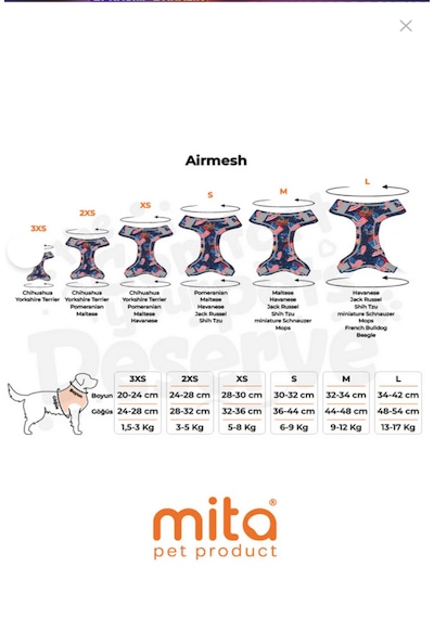 Mita 12 Lı Set Air Mesh L Gögüs Tasması Dizayn Dizayn