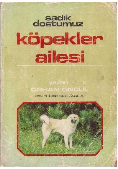 Sadık Dostumuz Köpekler Ailesi