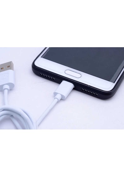 Lexroo Gold Type-c Usb Kablo Z-04 Standart