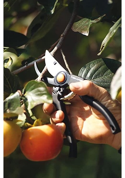 Profesyonel Bahçe Budama Makas 230 Mm