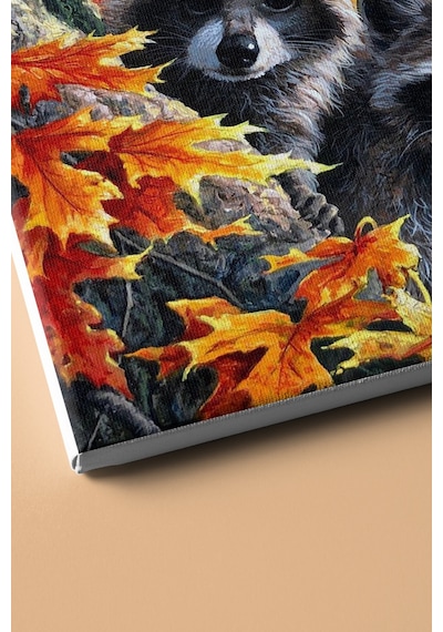 Webstyle Sayılarla Boyama Seti Kasnaklı Rakunlar 50 X 65 Cm