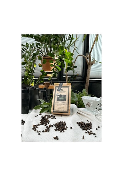 Guetemala Huehuetenango Çekirdek Kahve V60
